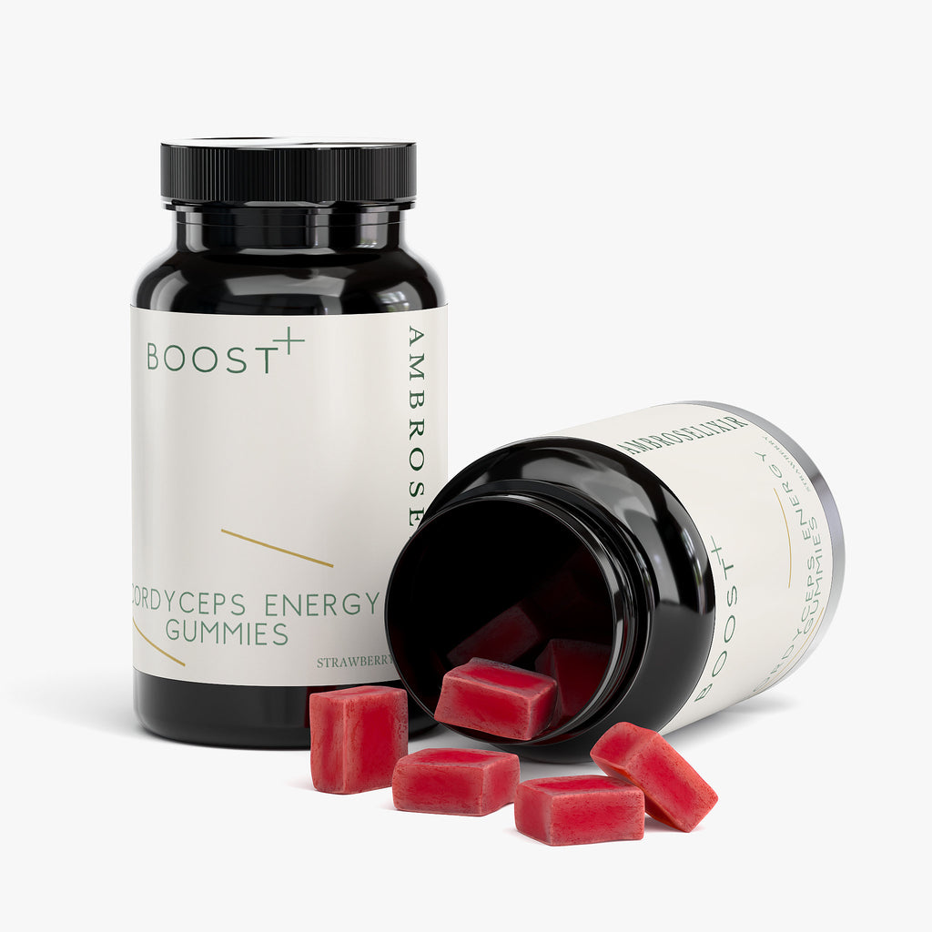 Cordyceps Energy Gummies