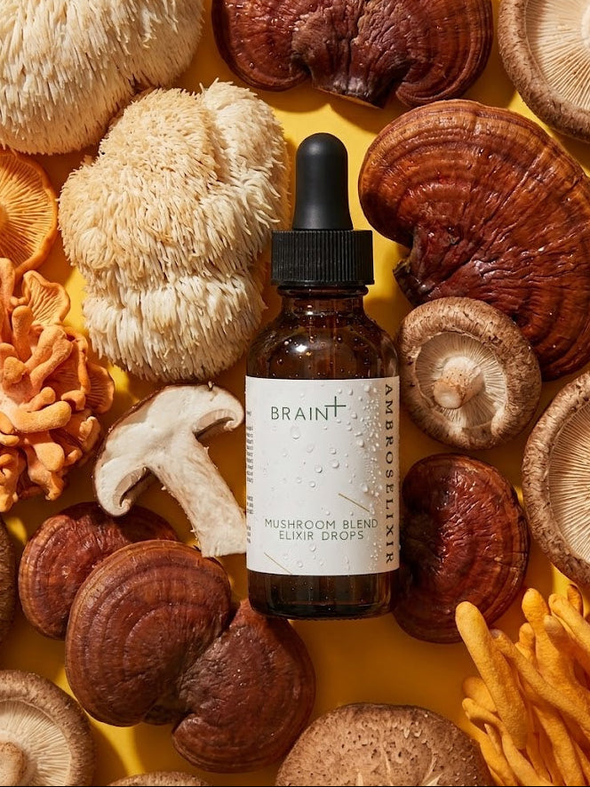 Bottle of Braint mushroom elixir drops surrounded by various mushrooms on a yellow background