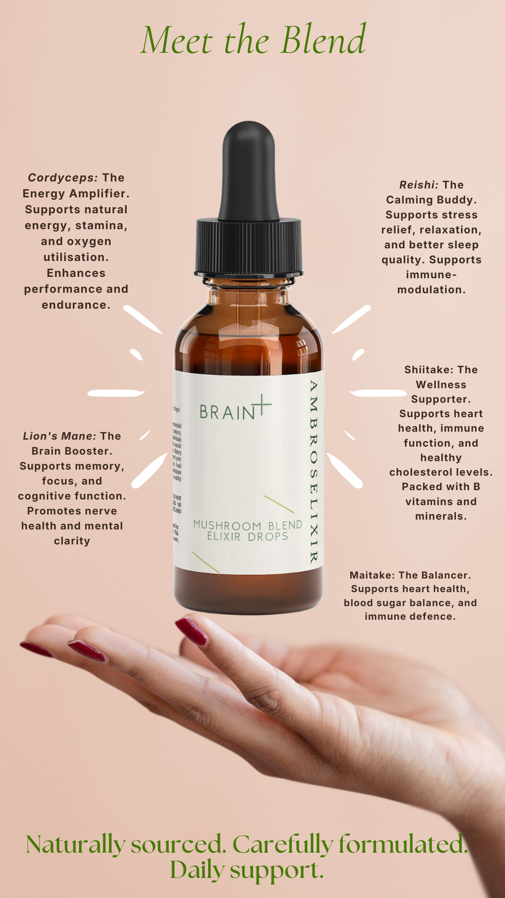 Mushroom Blend Elixir Drops