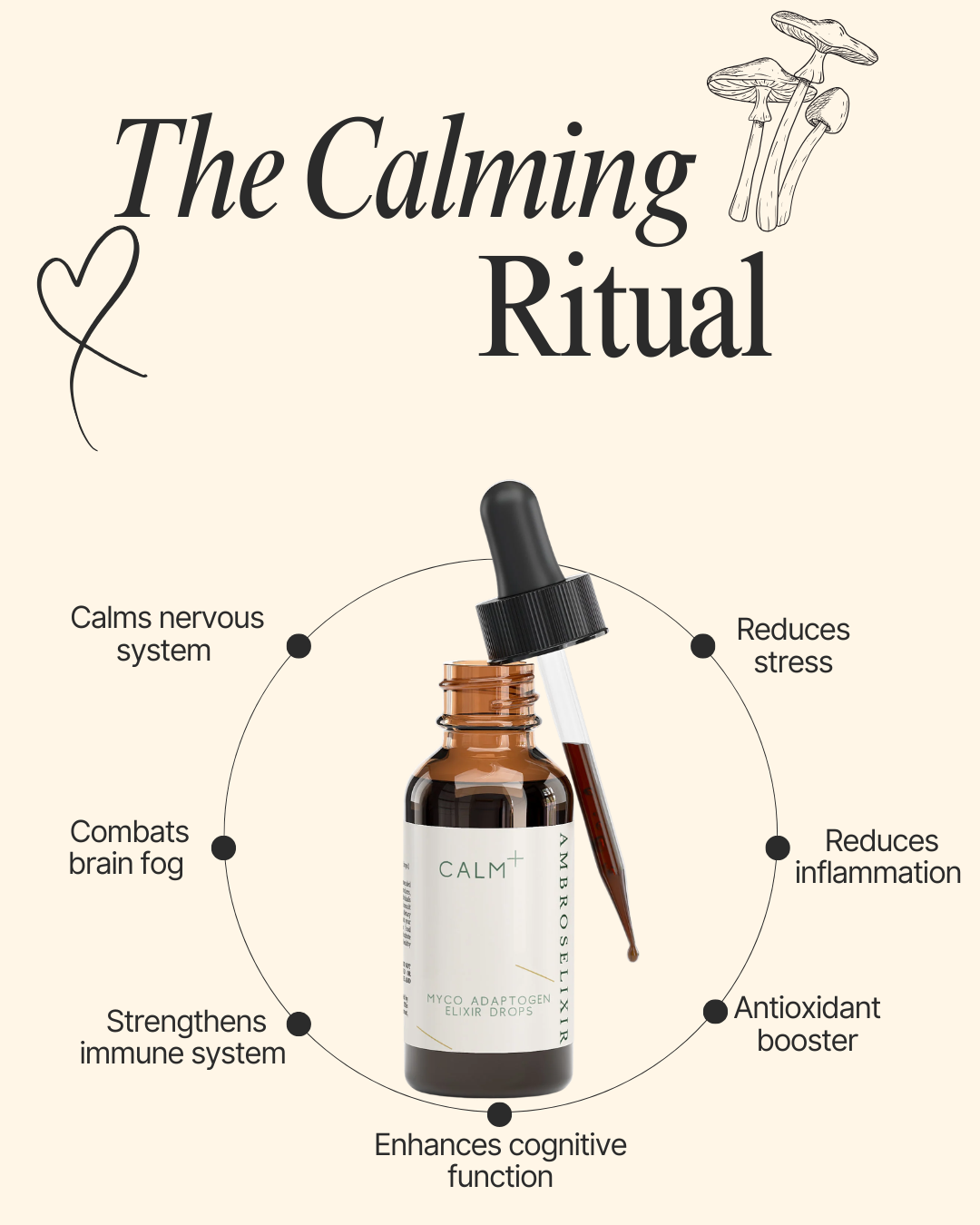 Myco Adaptogen Elixir Drops