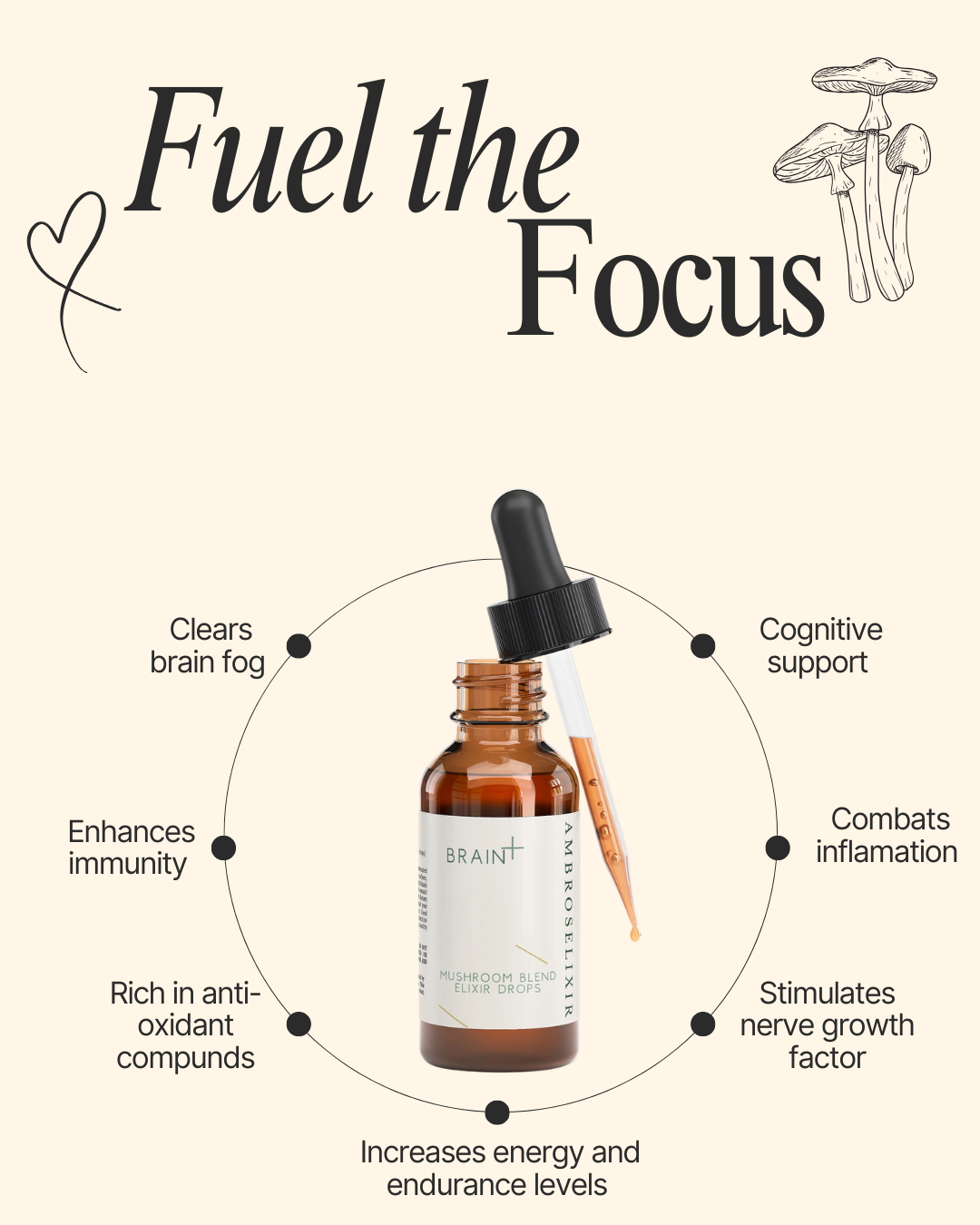 Mushroom Blend Elixir Drops